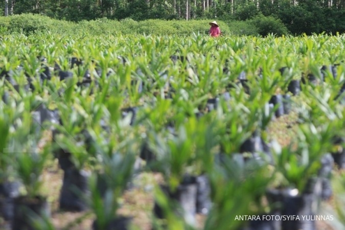 PPKS Sediakan 4,8 Juta Bibit Kelapa Sawit untuk Program Replanting