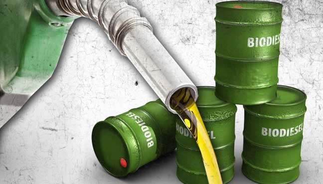Biodiesel Indonesia Kembali Jajal Pasar Uni Eropa