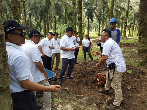 Diplomat Indonesia Kunjungi Perkebunan Kelapa Sawit di Riau