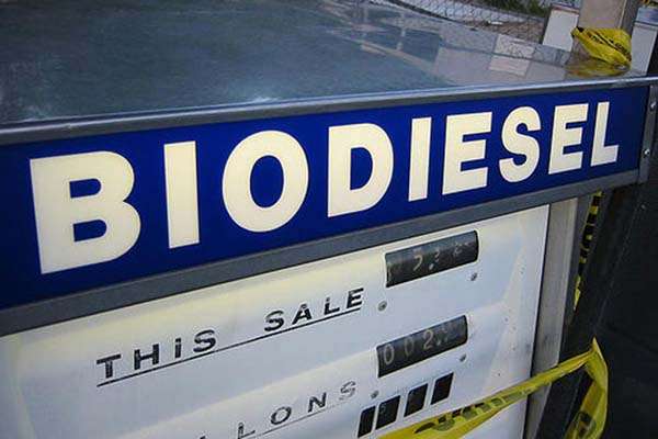 Insentif Biodiesel Dianggarkan Rp9,8 Triliun
