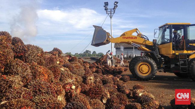 Lindungi Daya Saing Industri Kelapa Sawit, RI-India Teken MoU