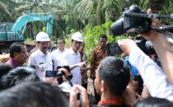 Jokowi: Sektor Kelapa Sawit Membanggakan
