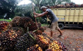 UE Tampik Tudingan RI Soal Upaya Setop Impor CPO