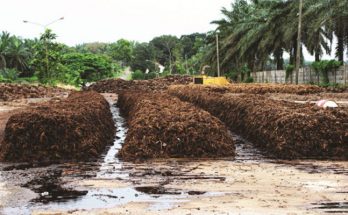 Pemanfaatan Biofuel Generasi Kedua Limbah Sawit untuk BBN