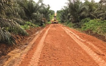 Teknis Perawatan Jalan di Perkebunan Kelapa Sawit