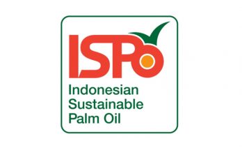 ISPO Hilir Sawit Ditargetkan Terbit Desember 2021