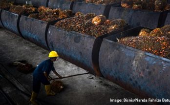 Ekspor Minyak Kelapa Sawit Sumut Sumbang Rp 1,5 Triliun