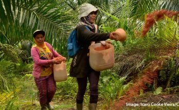 Permintaan 32.000 PMI Untuk Perkebunan Malaysia Terhambat MoU Kadaluarsa