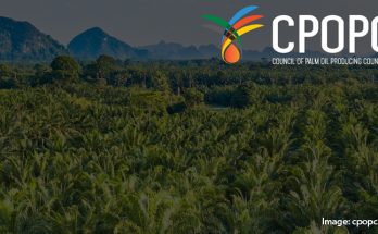 CPOPC Resmi Luncurkan Prinsip Global untuk Kelapa Sawit Berkelanjutan