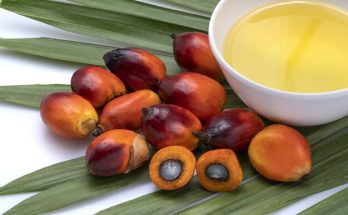 close-up-oil-palm-fruits-cooking-palm-oil-with-palm-leaf_192913-6