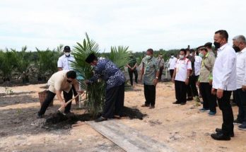 Petani Sawit di Riau Dapat Harga Premium Karena Sertifikasi RSPO