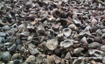 Peluang Investasi, Nilai Kalori Pallet Cangkang Sawit Setara Batu Bara