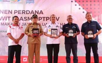 Gubernur Riau: PSR PTPN V Berhasil Naikan Produktivitas Sawit Petani